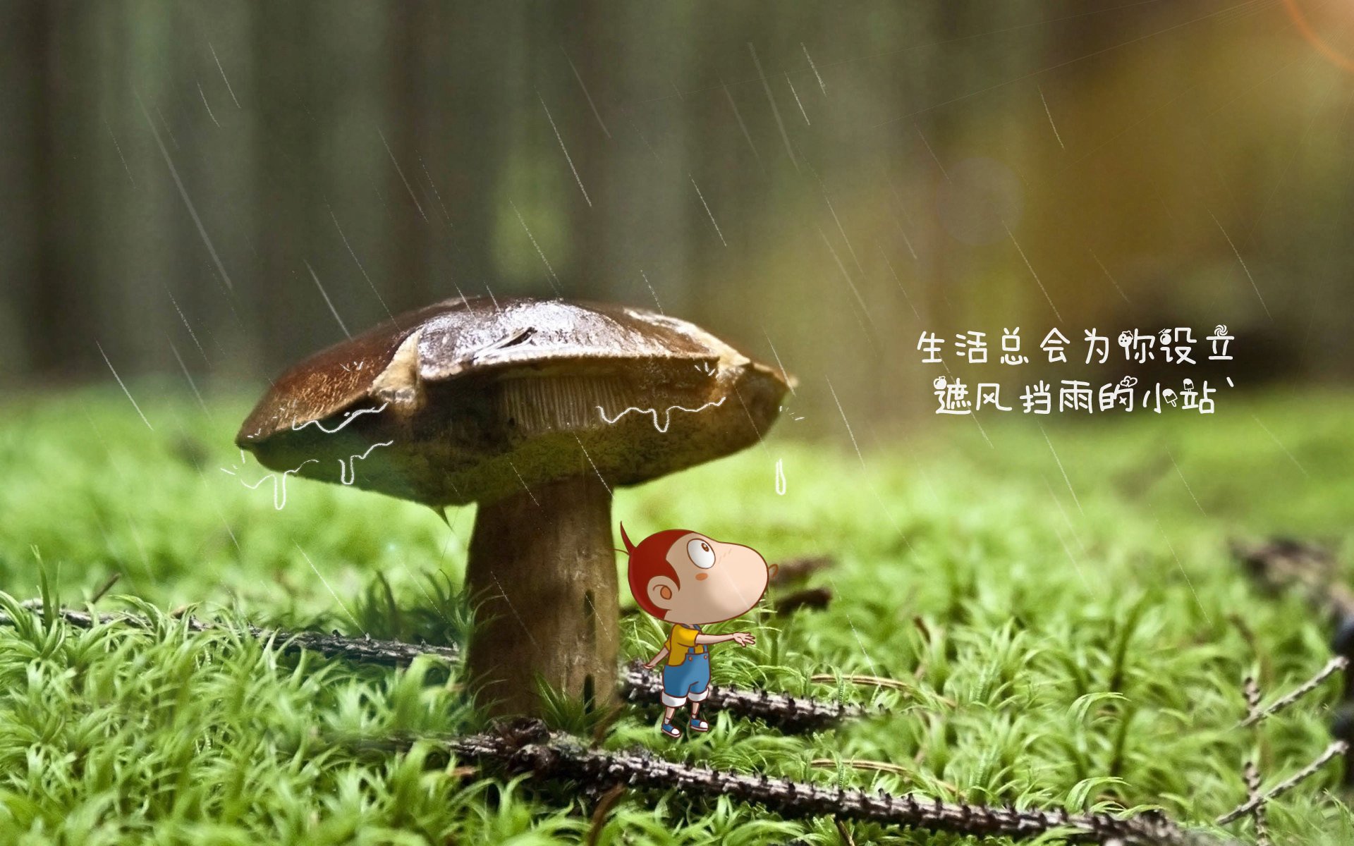 中超年度比赛节奏与天气因素影响关系分析，中超变天