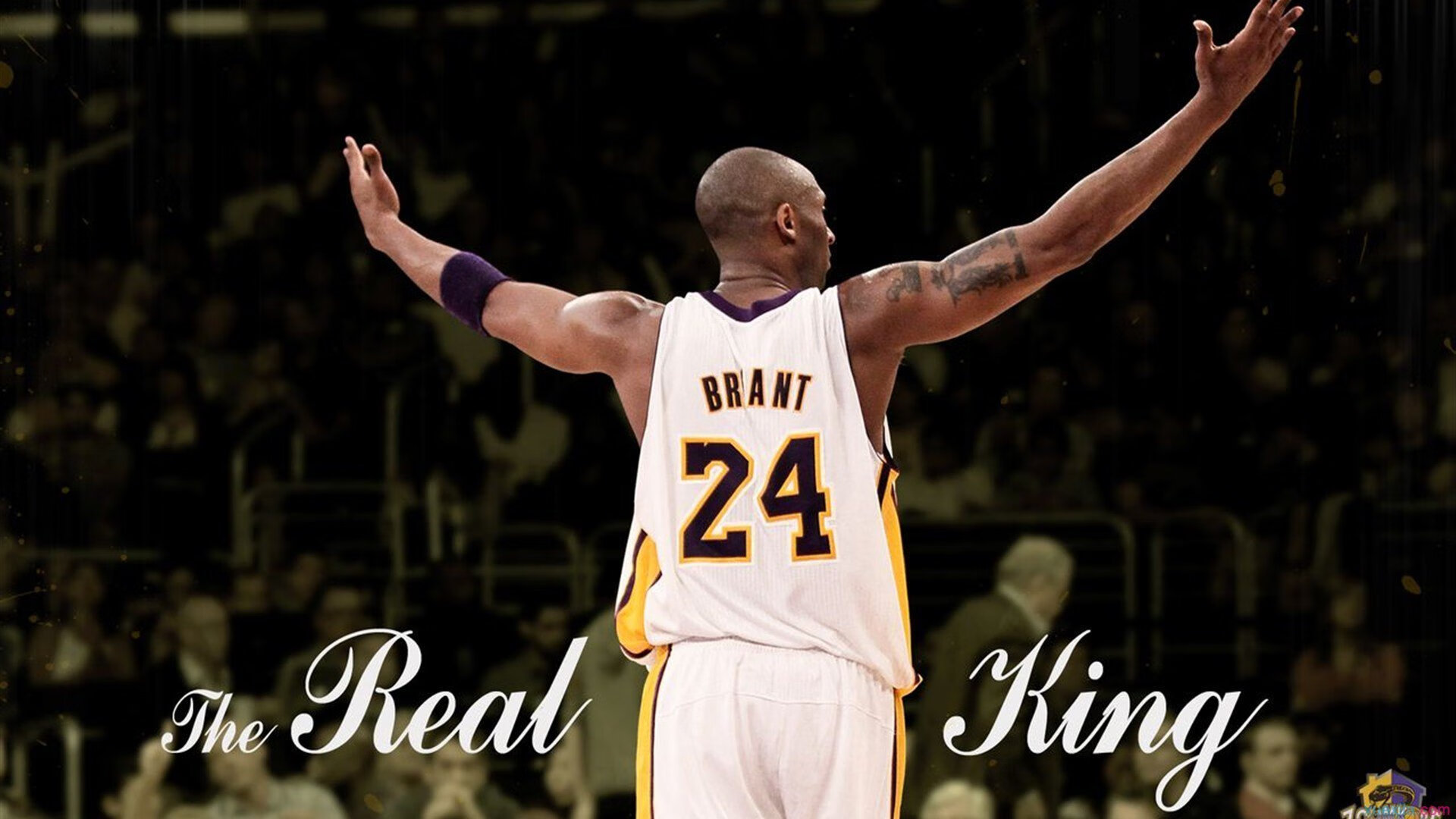 青训系统未能提供身体发育预测机制，青训没了